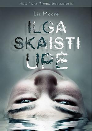 Ilga skaisti upė