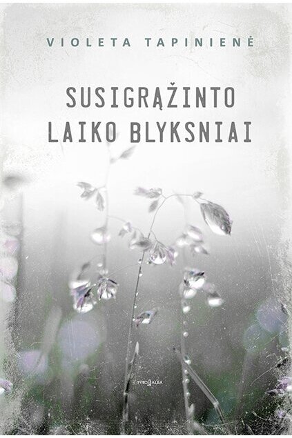 Susigrąžinto laiko blyksniai