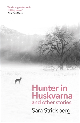 Hunter in Huskvarna and other stories
