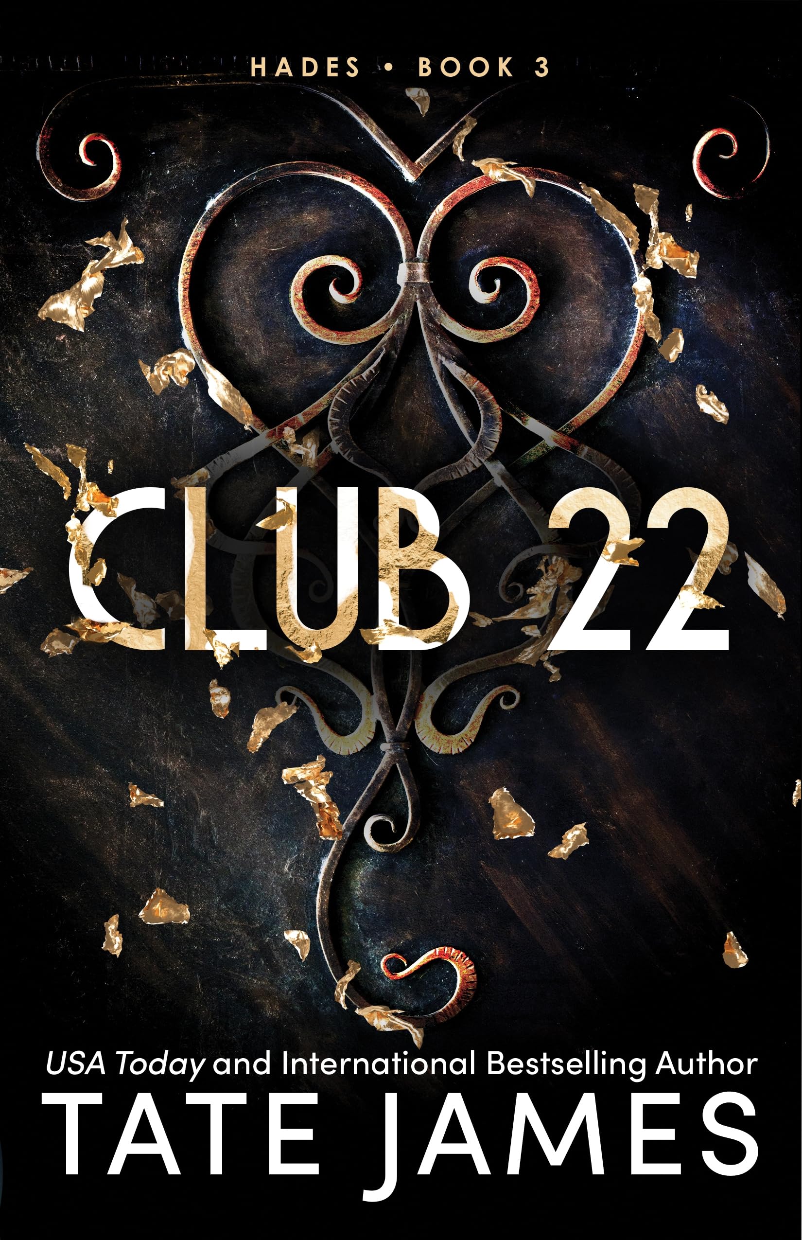 Club 22 Book 3 Hades