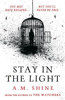 Stay in the Light