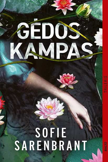Gėdos kampas