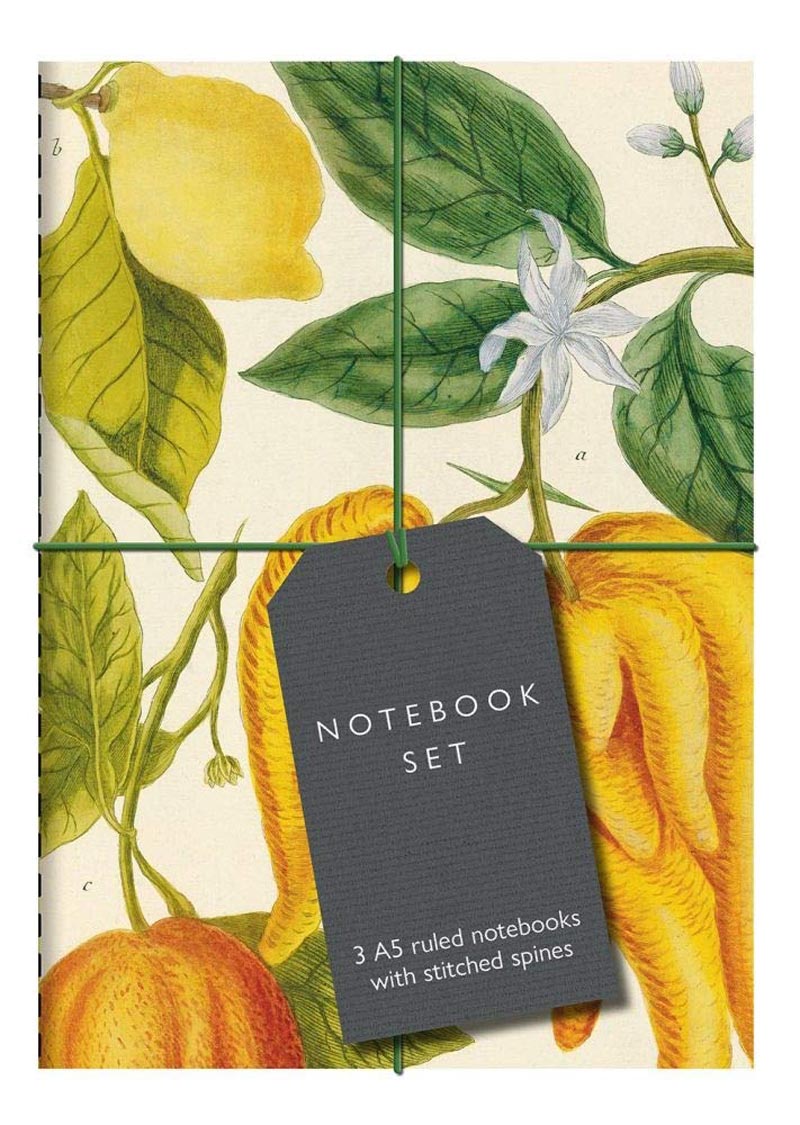 Botanical Art Notebook Set: Lemon, Chillis and Apples