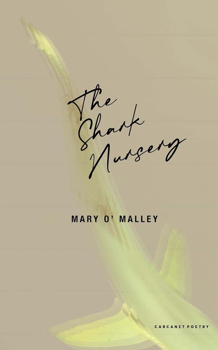 Shark Nursery