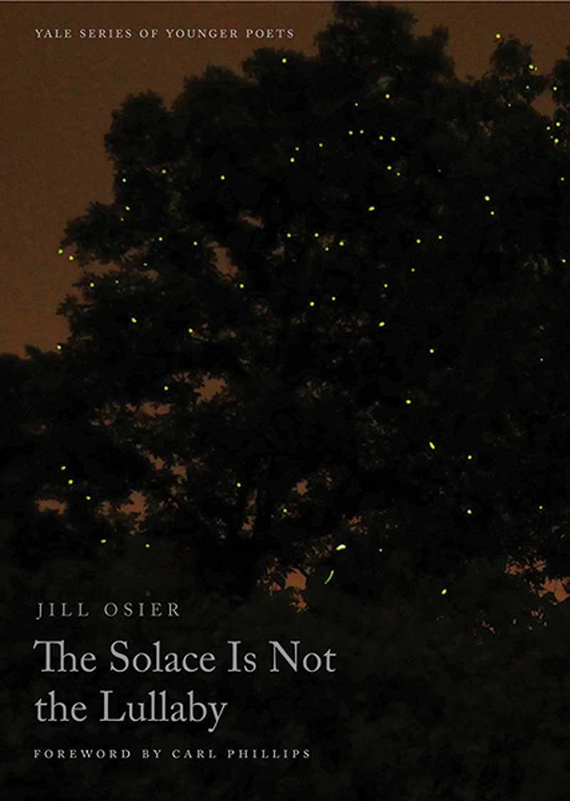 Solace Is Not the Lullaby