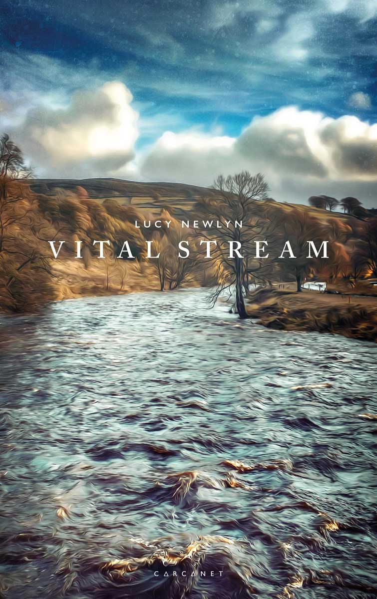 Vital Stream