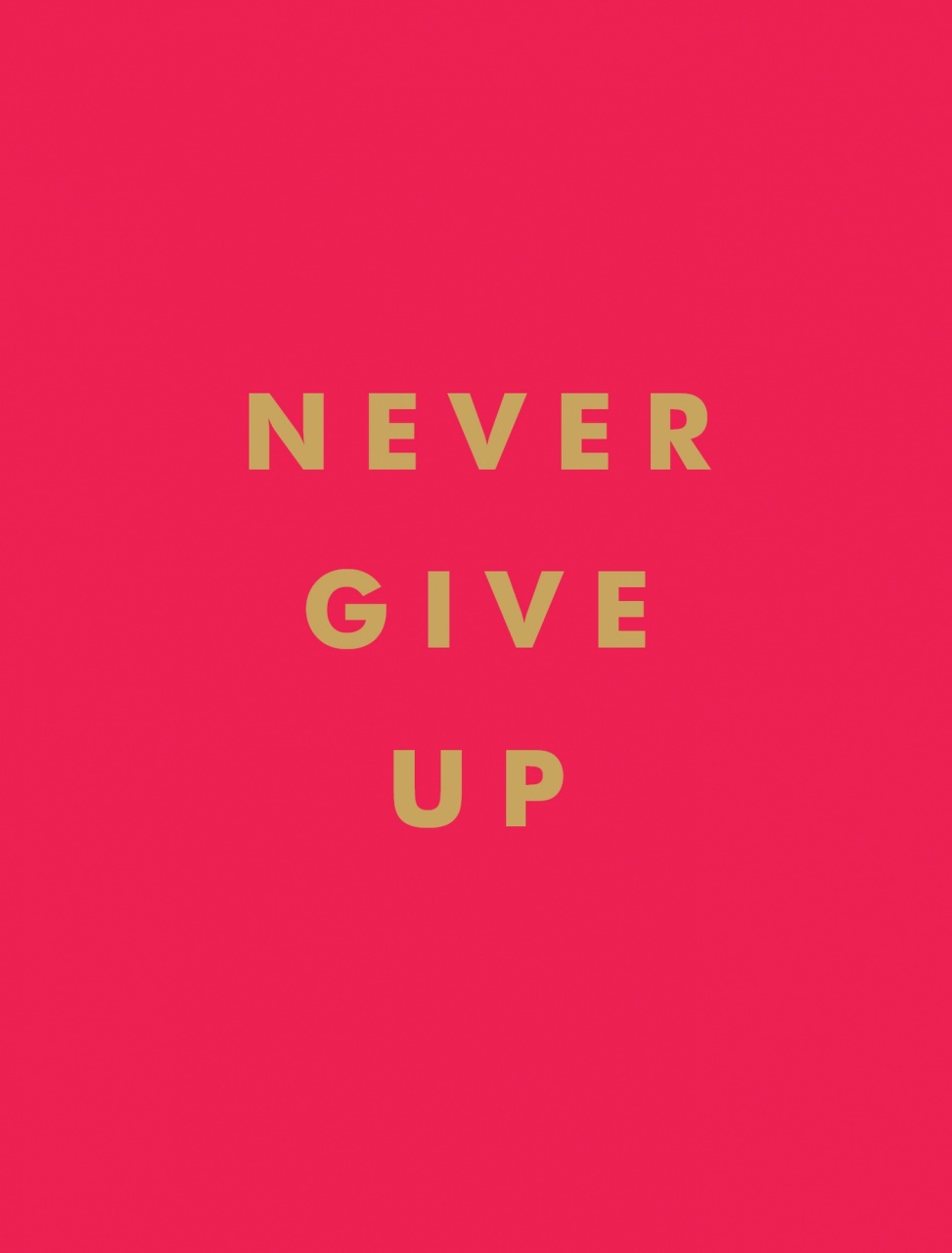 Never Give Up