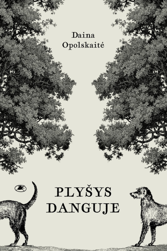 Plyšys danguje
