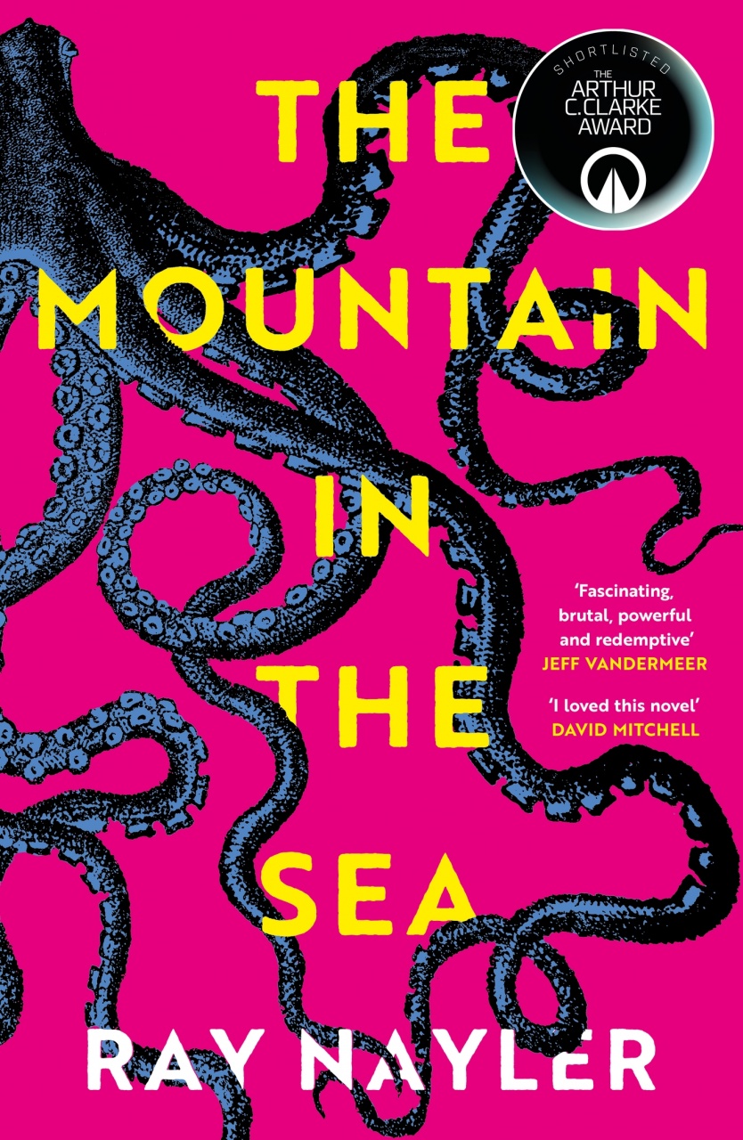 Mountain in the Sea