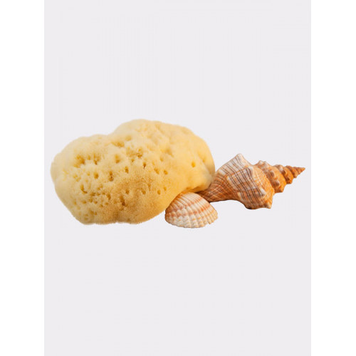Hydrea London Fina Silk Sea Sponge  Natūrali kempinėlė kūdikiams, 5 cm
