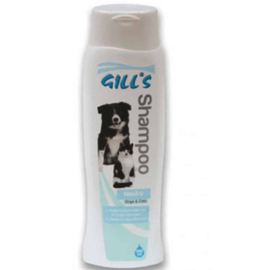 GILL'S NEUTRO Šampūnas (Nuo Pleiskanų) 200ml