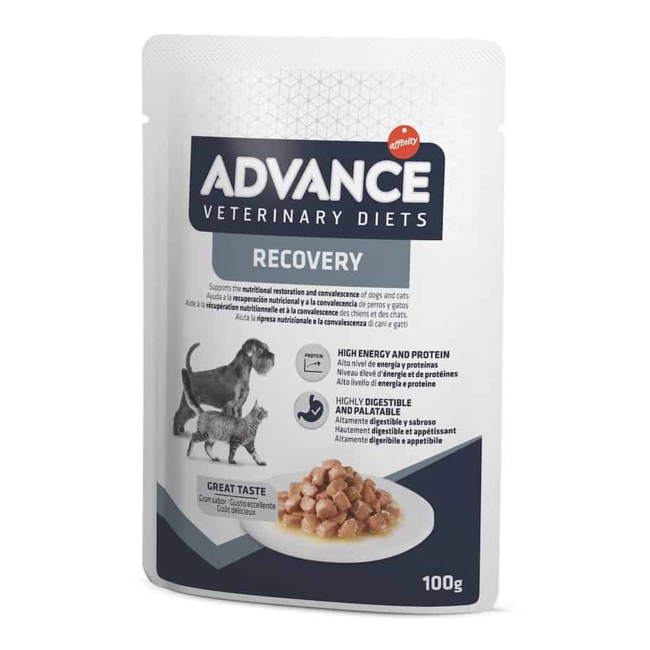 Advance Wet Recovery Dog&Cat konservai 100 g x 11 vnt.