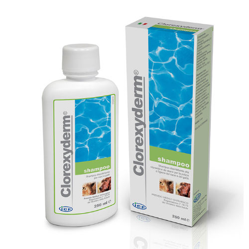 Clorexyderm Shampoo 4% priešgrybelinis šampūnas 250 ml