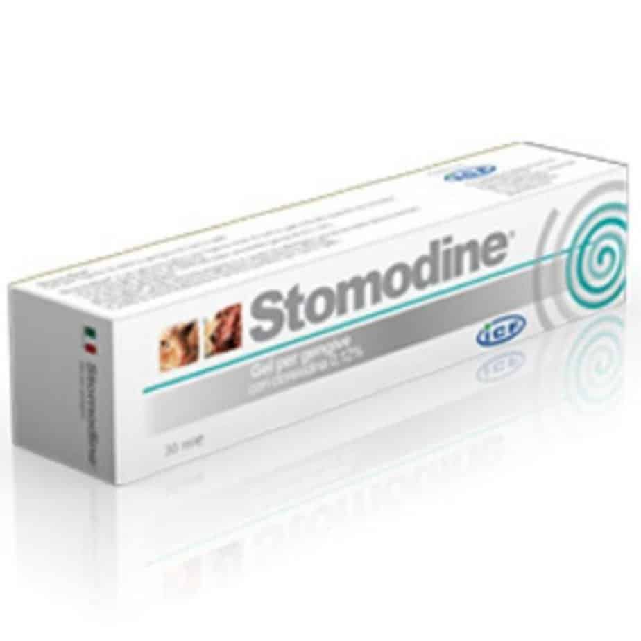 Stomodine antiseptinis dantenų ir burnos ertmės gelis 30ml