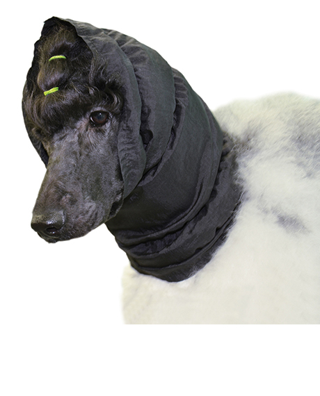 Show Tech Snood raištis ausims apsaugoti, juodas, S