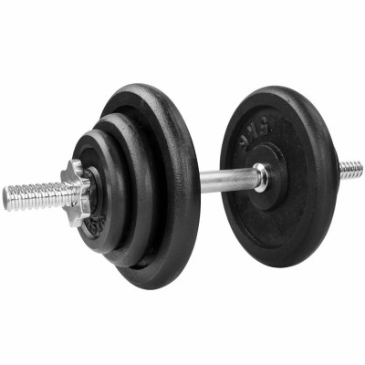 Ketaus svarmuo / hantelis SPORTBAY 20 kg