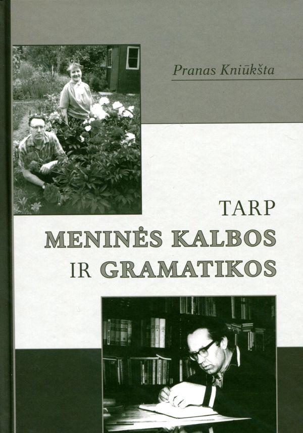 Tarp meninės kalbos ir gramatikos