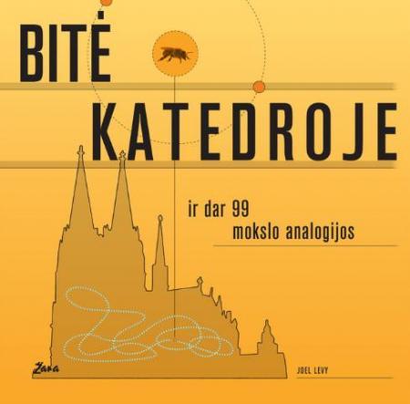 Bitė katedroje