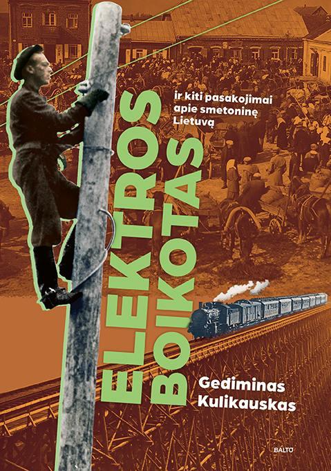 Elektros boikotas ir kiti pasa kojimai apie smetoninę Lietuvą