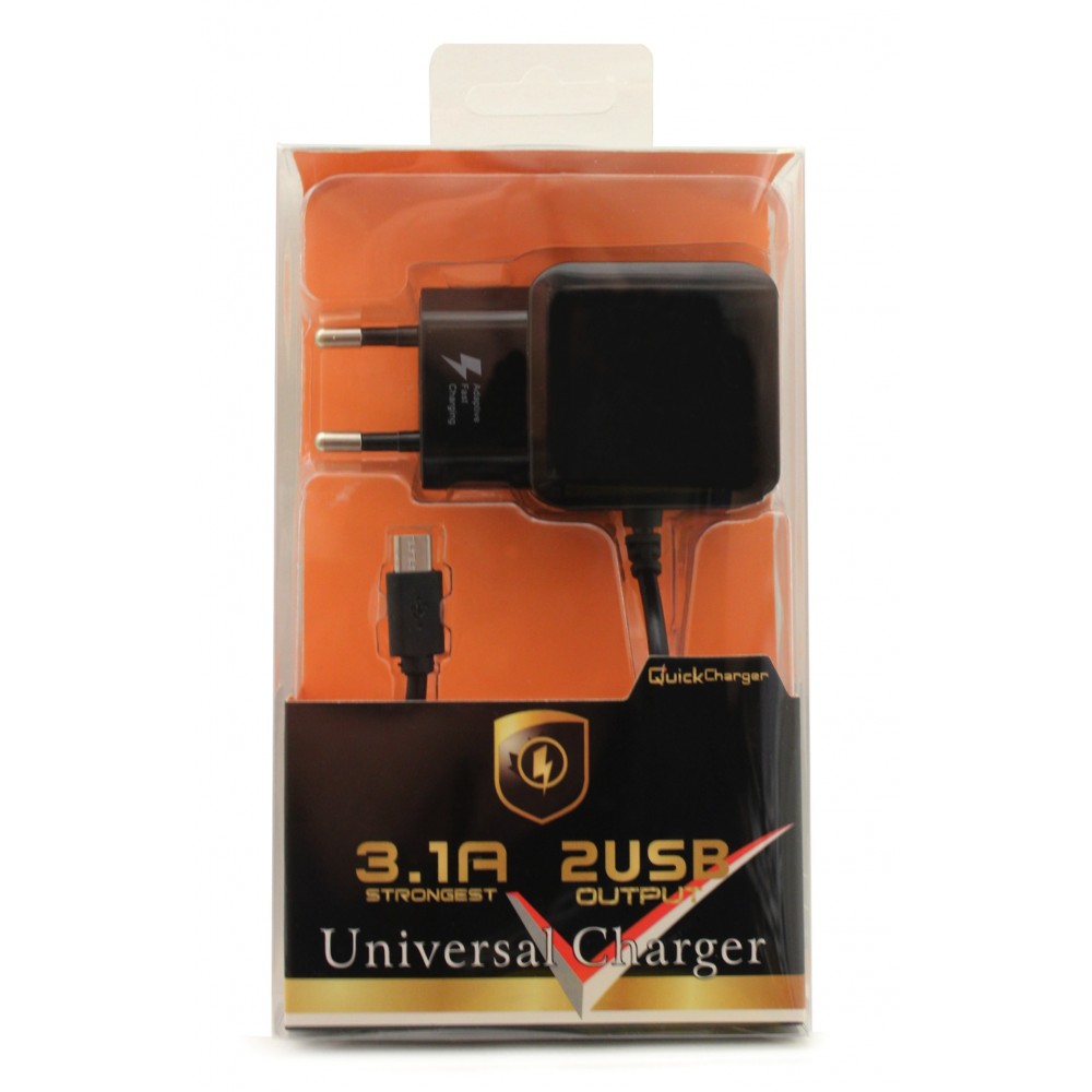 Pakrovėjas-įkroviklis buitinis F13c FastCharging su 2 USB jungtimis (3.1A) microUSB juodas