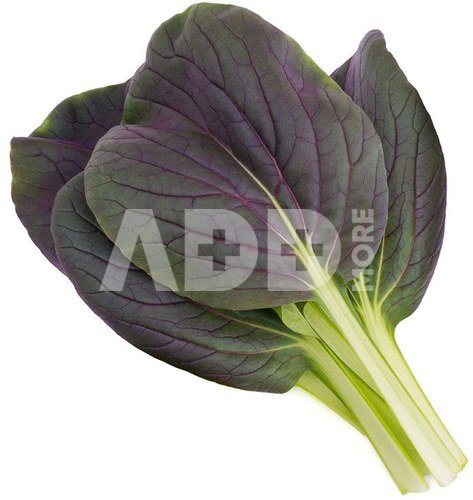 Click & Grow Smart Garden refill Punane Bok Choy 3pcs