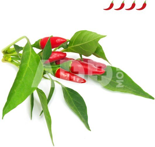 Click & Grow Smart Garden refill Piri Piri Chili Pepper 3pcs