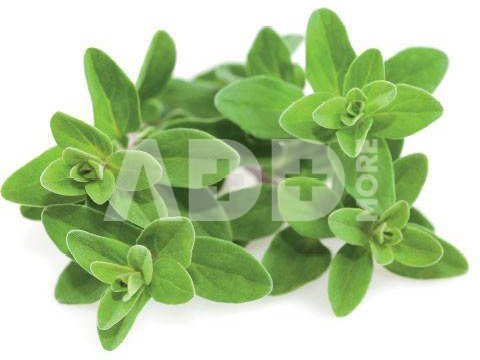 Click & Grow Smart Garden refill Marjoram 3pcs