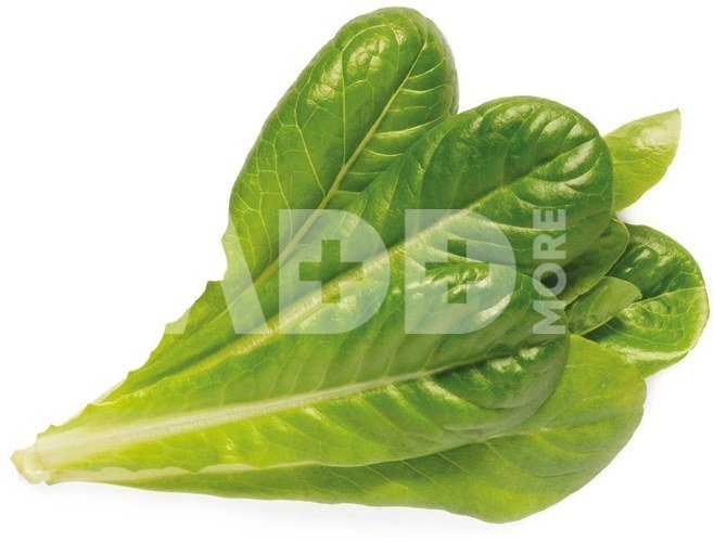 Click & Grow Smart Garden refill Romaine Lettuce 3pcs