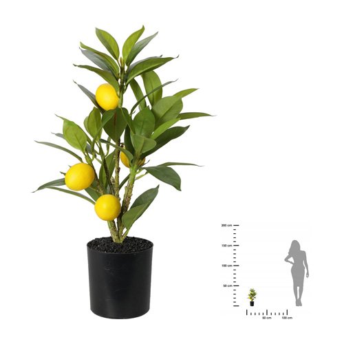 Dirbtinis citrinmedis vazone, H&S, 43 cm
