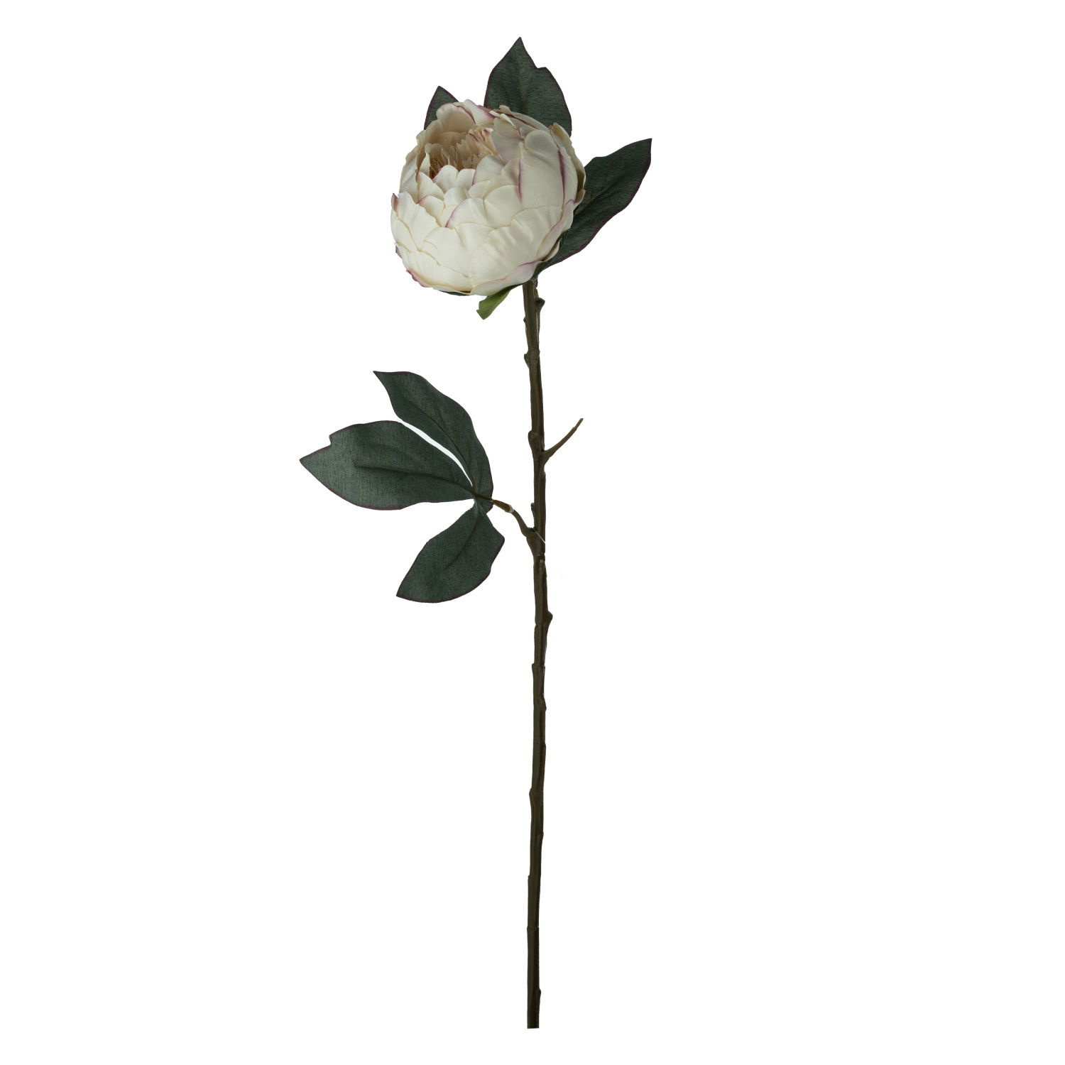 Dirbtinė gėlė ILAJA PEONY, 3 spalvų, 67 cm