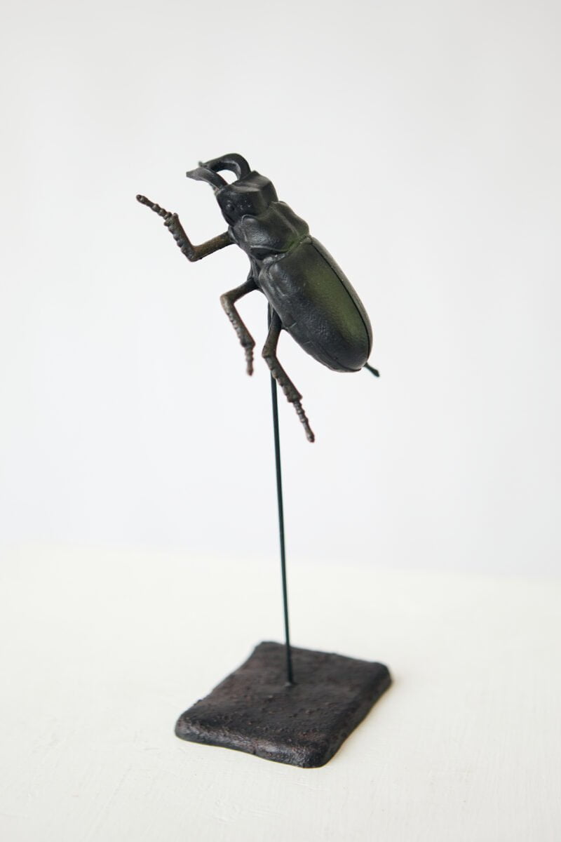 Statulėlė „Juodas vabalas“ ant stovo