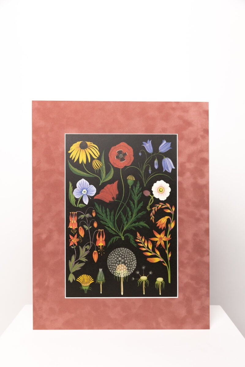 Botaninis printas „Gėlių žiedai"