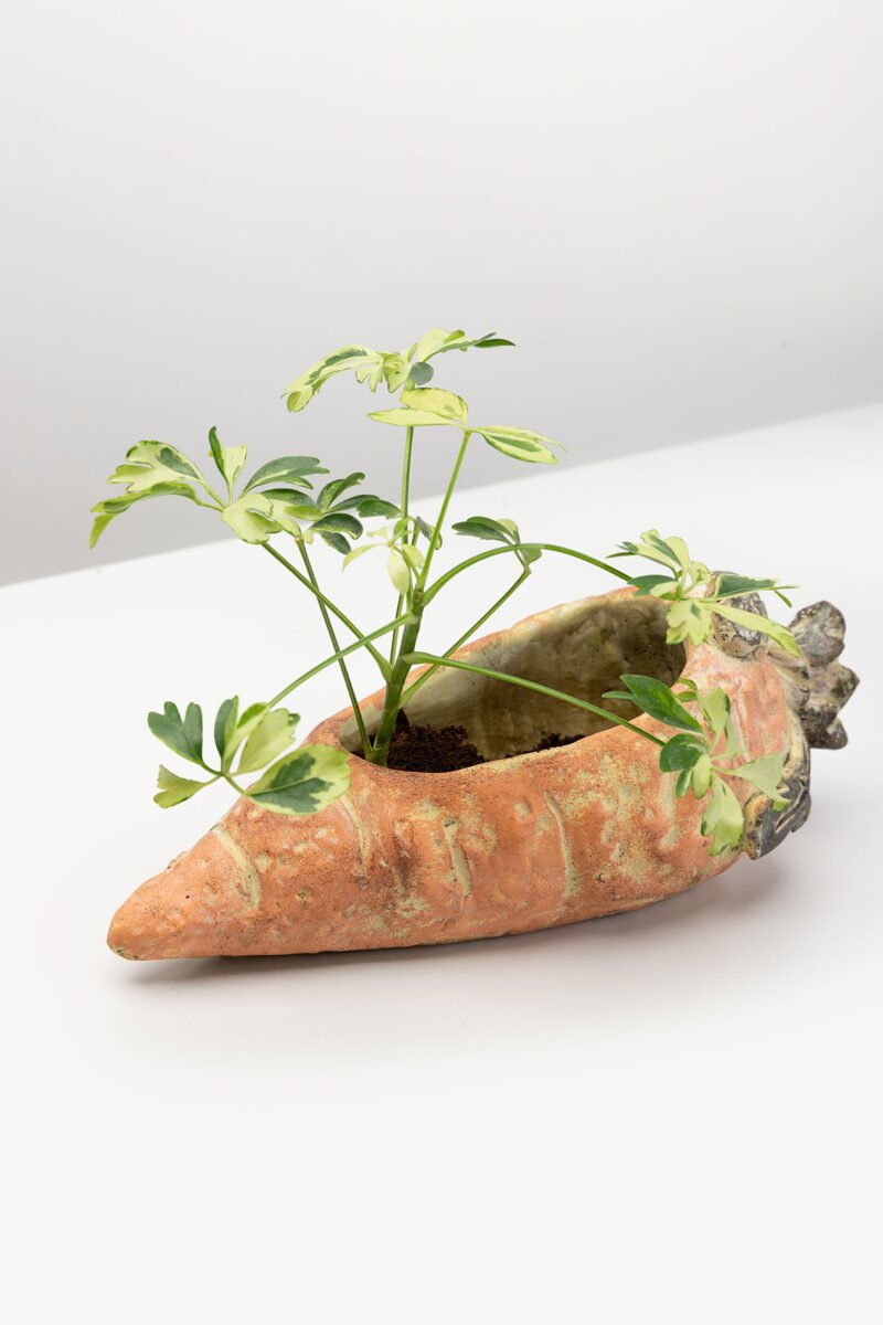 Betoninis gėlių vazonas „Morka“