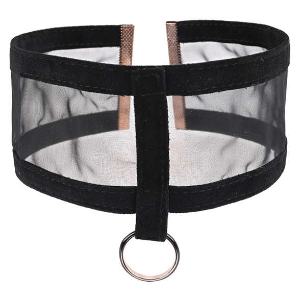 Sportsheets - S&M Sheer Day Collar