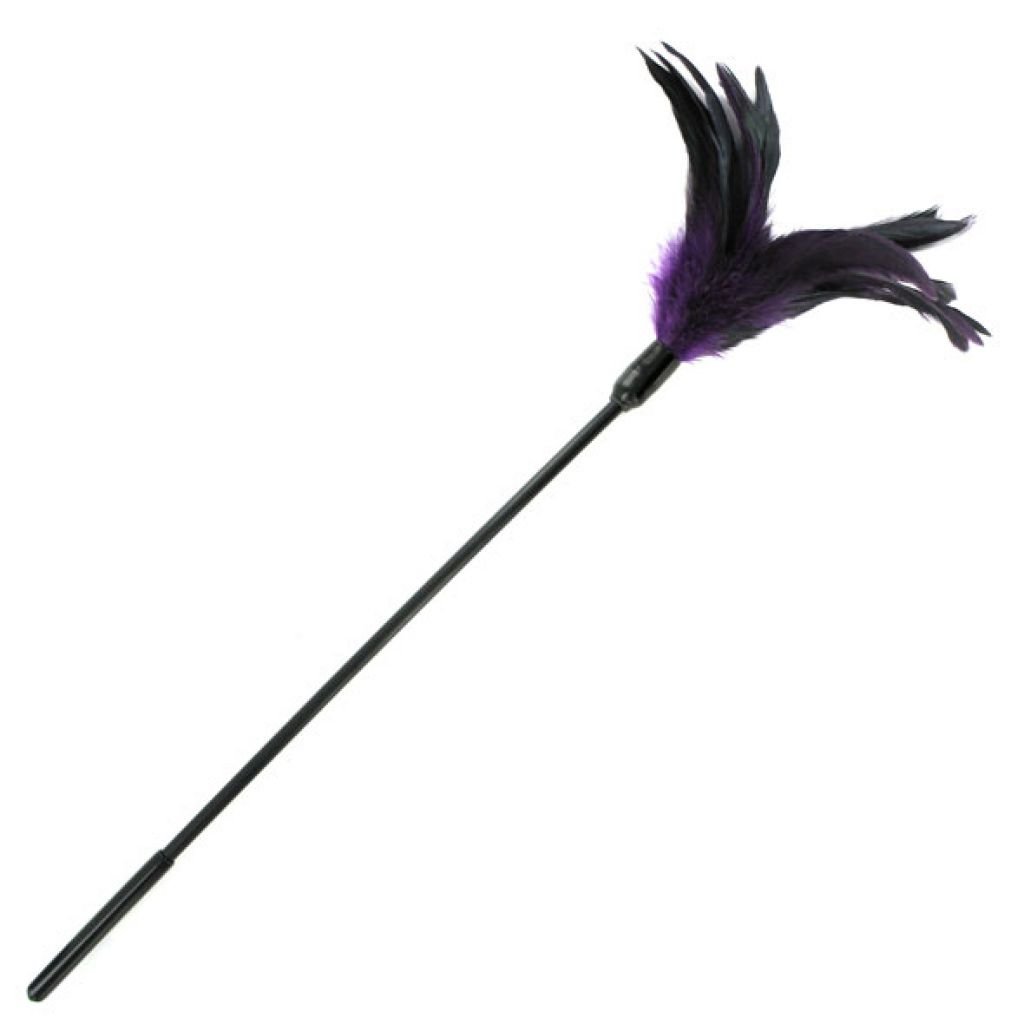 Pakutenimo plunksnos Tickler Violet