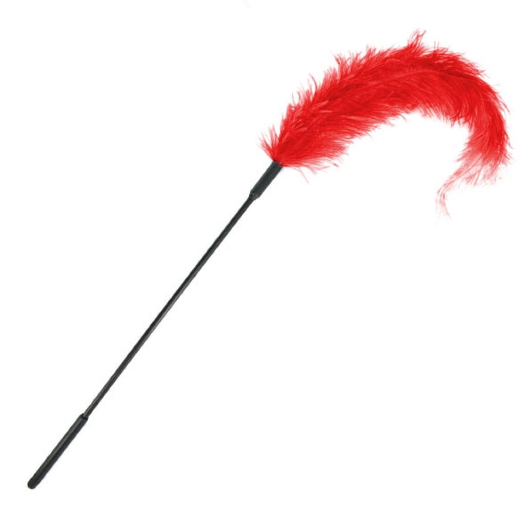 Plunksna kutenimui Red