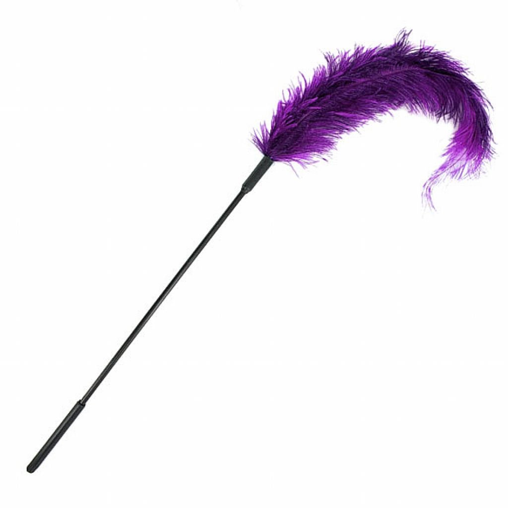 Plunksna kutenimui Purple