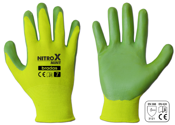 Sodo ir darbo pirštinės Bradas NITROX MINT, 6 dydis, 6 vnt.