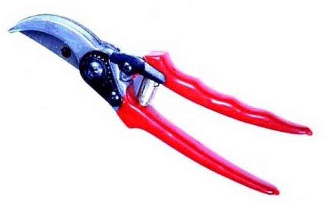 Secateurs Vorel 99230 scissors