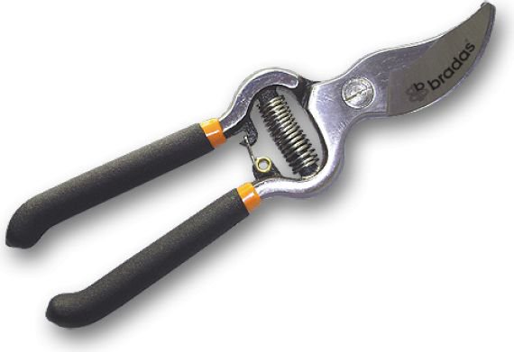 Secator Bradas KT-RG1009 scissors
