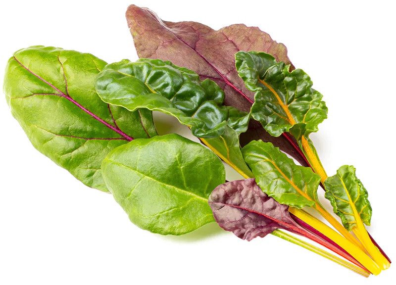 Sėklos Click & Grow Smart Refill Rainbow Chard 3pcs