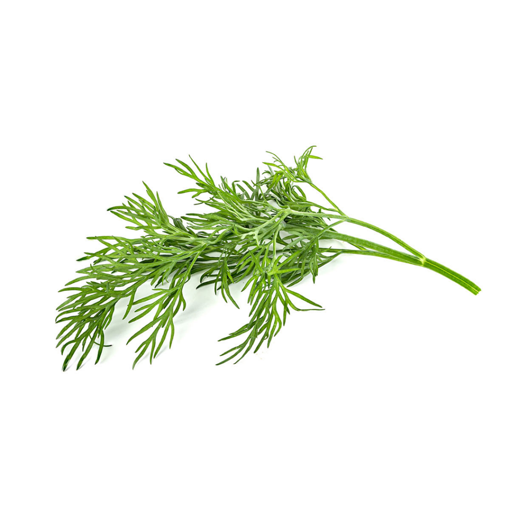 Sėklos Click and Grow Smart Garden Refill 3-pack - Dill