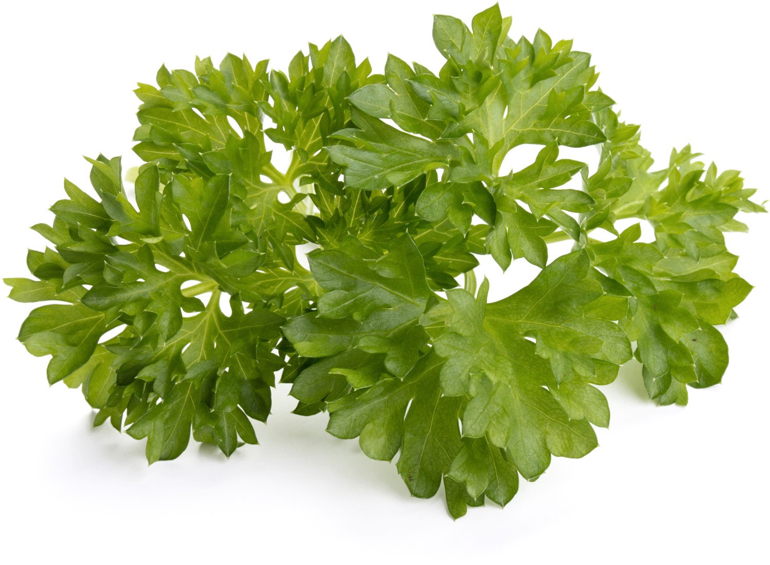 Išmaniojo vazono sėklos Click & Grow Smart Garden refill Parsley 3pcs SGR13X3