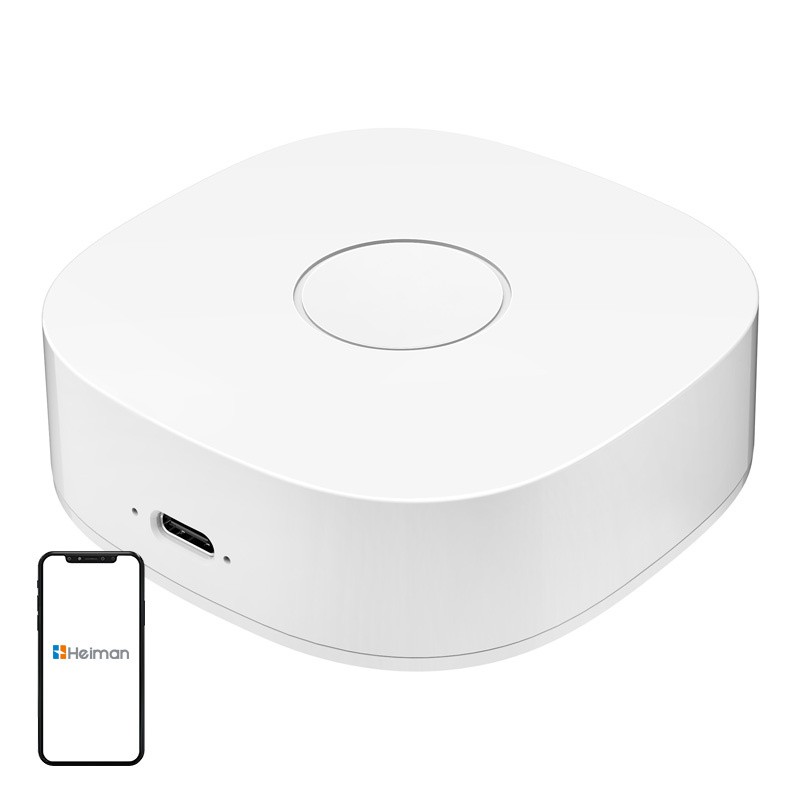 Išmanieji namai WS2GW-R WiFi