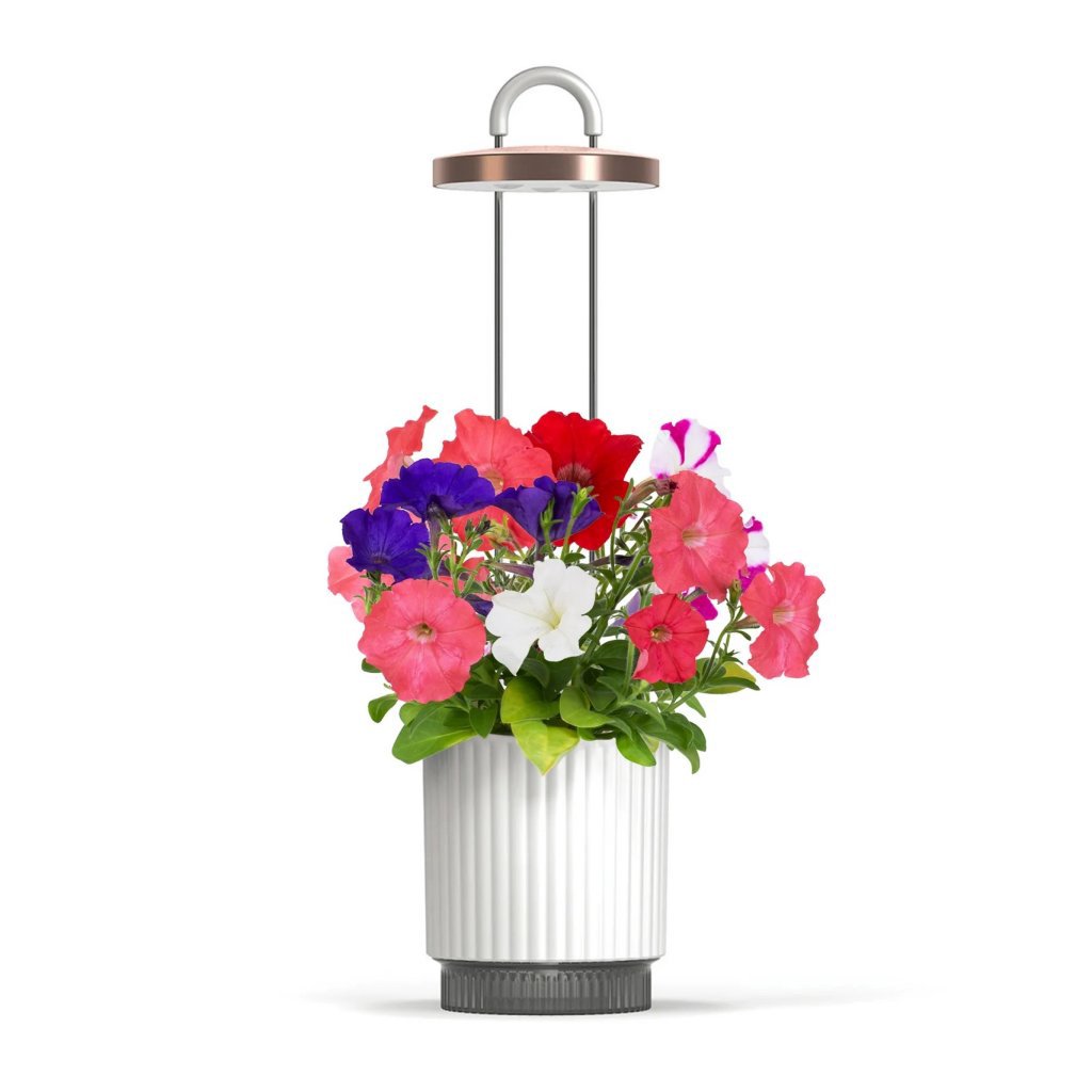 Click & Grow HydroVase Grow Fresh Plants Indoors All Year Round with LED Lighting and Self