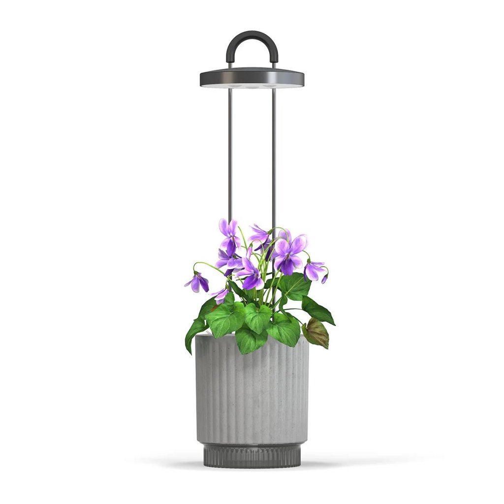 Click & Grow HydroVase Indoor Plant Care Kit with LED Light, Self-Watering and Automatic Timer