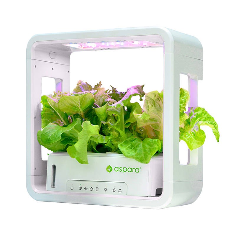 "SmartPot aspara" pagal "GrowGreen Stylist Lite Smart Grower