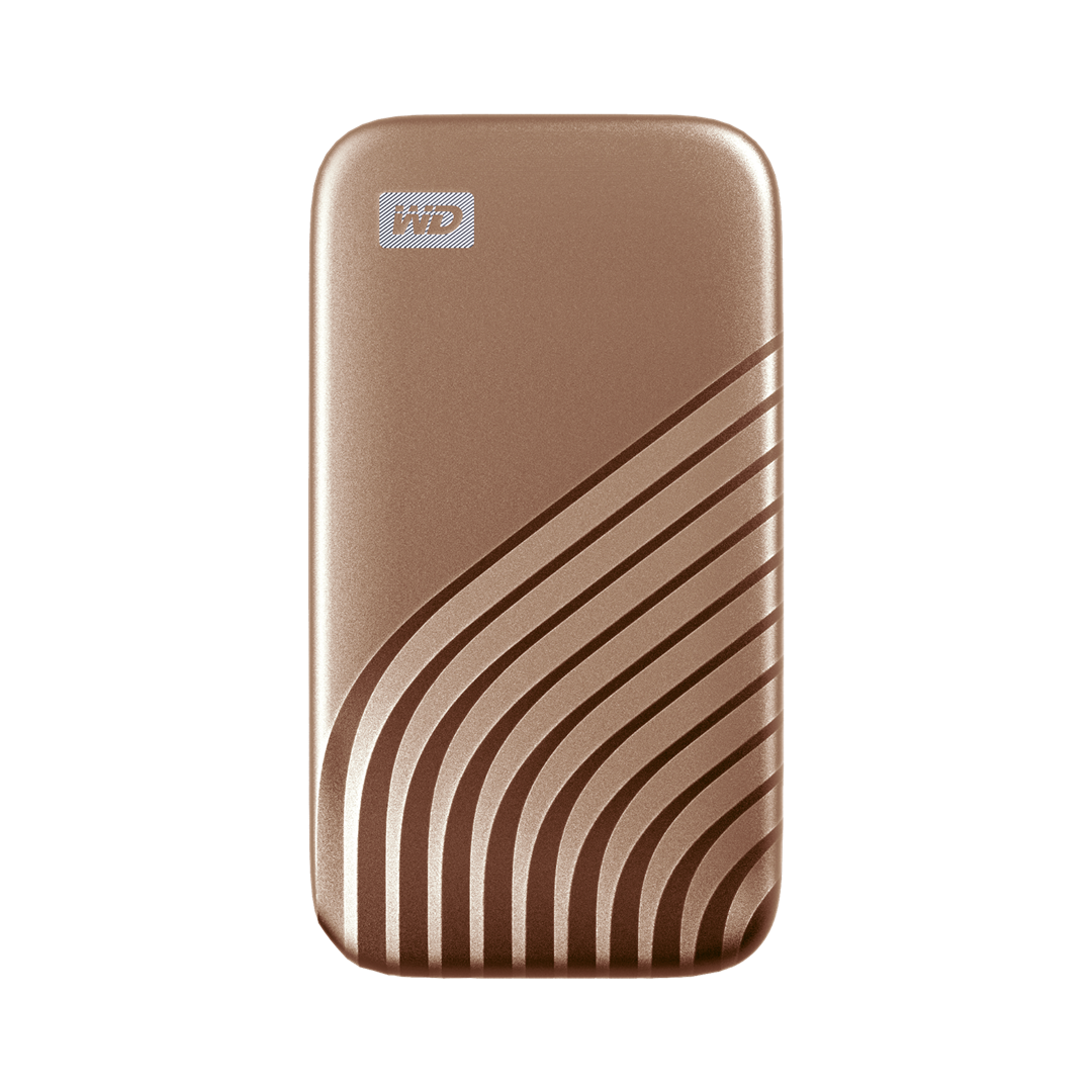 Išorinis SSD WD WDBAGF0010BGD-WESN