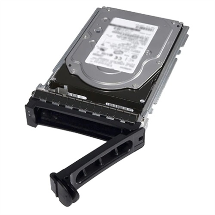 Išorinis HDD Dell HDD 3.5" / 4TB / 7.2K / NLSAS / 12Gb / 512n / Hot-Plug / 15G  Dell  HDD 3.5" / 4
