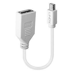 Adapteris LINDY 41021